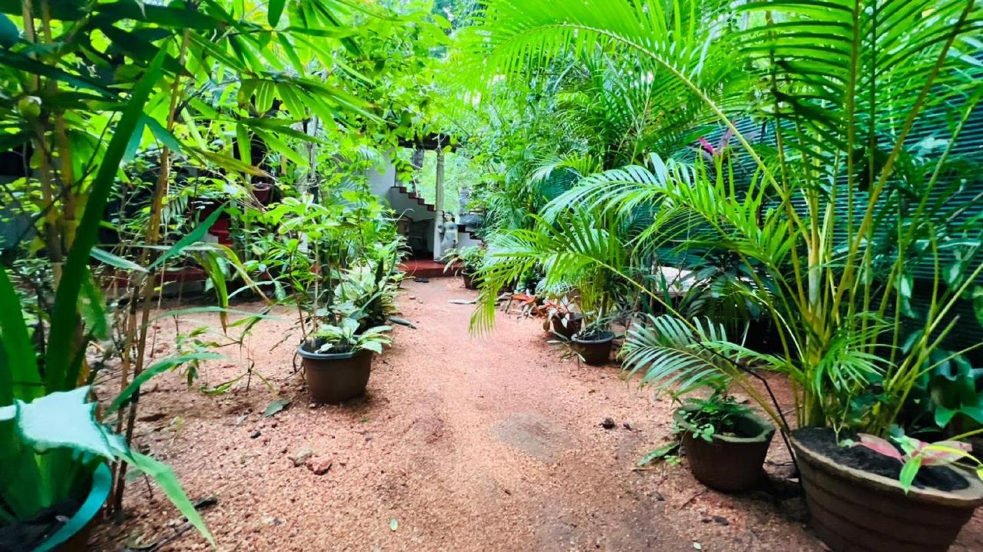Sigiri Kp Family Home Sigiriya Exterior photo